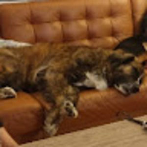 Meet your Posher, Randall